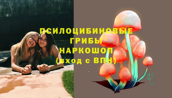 прущая мука Аркадак