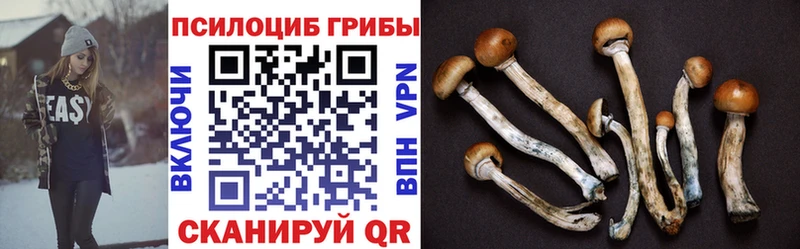 это какой сайт  Карпинск  Галлюциногенные грибы GOLDEN TEACHER 